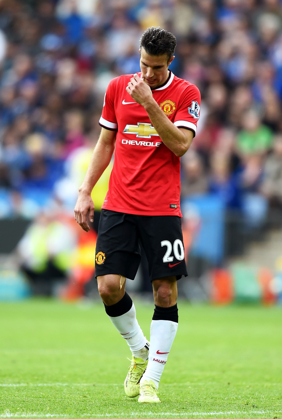 重庆铜梁龙总经理：明年中超主场有几个不同的选择，暂未确定（重庆铜梁龙总：明年中超主场多方案待定）