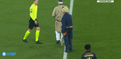 官方：前狮吼主帅罗斯·阿洛伊西执教浙江队，曾任穆斯卡特助教（浙江队官宣罗斯·阿洛伊西出任主帅：前狮吼主帅，曾任穆斯卡特助教）